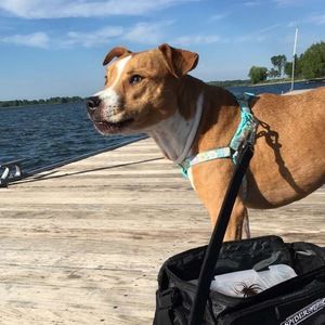 Meet your Posher, Kiley